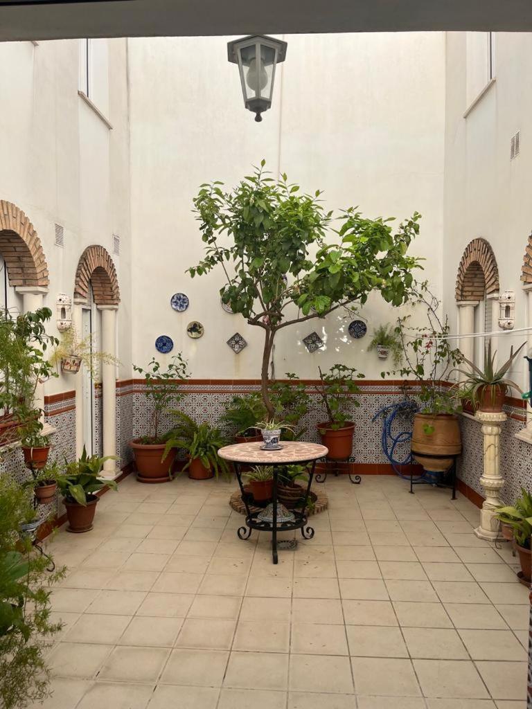 Hostel Alyana Córdoba Exteriér fotografie