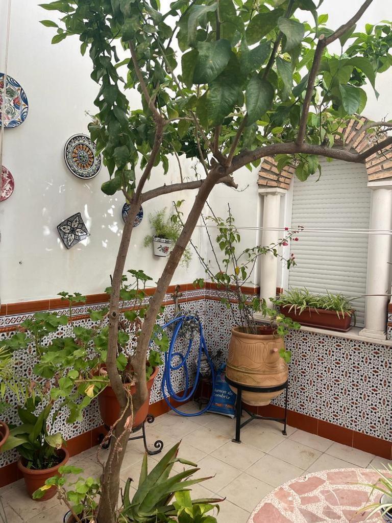 Hostel Alyana Córdoba Exteriér fotografie