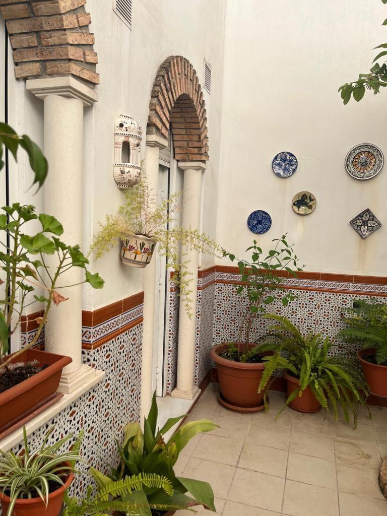 Hostel Alyana Córdoba Exteriér fotografie